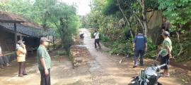 Pohon Menjulur Dipangkas, Akses Jalan Pulekulon Kini Lebih Aman